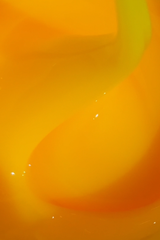 Builder Gel  N°20